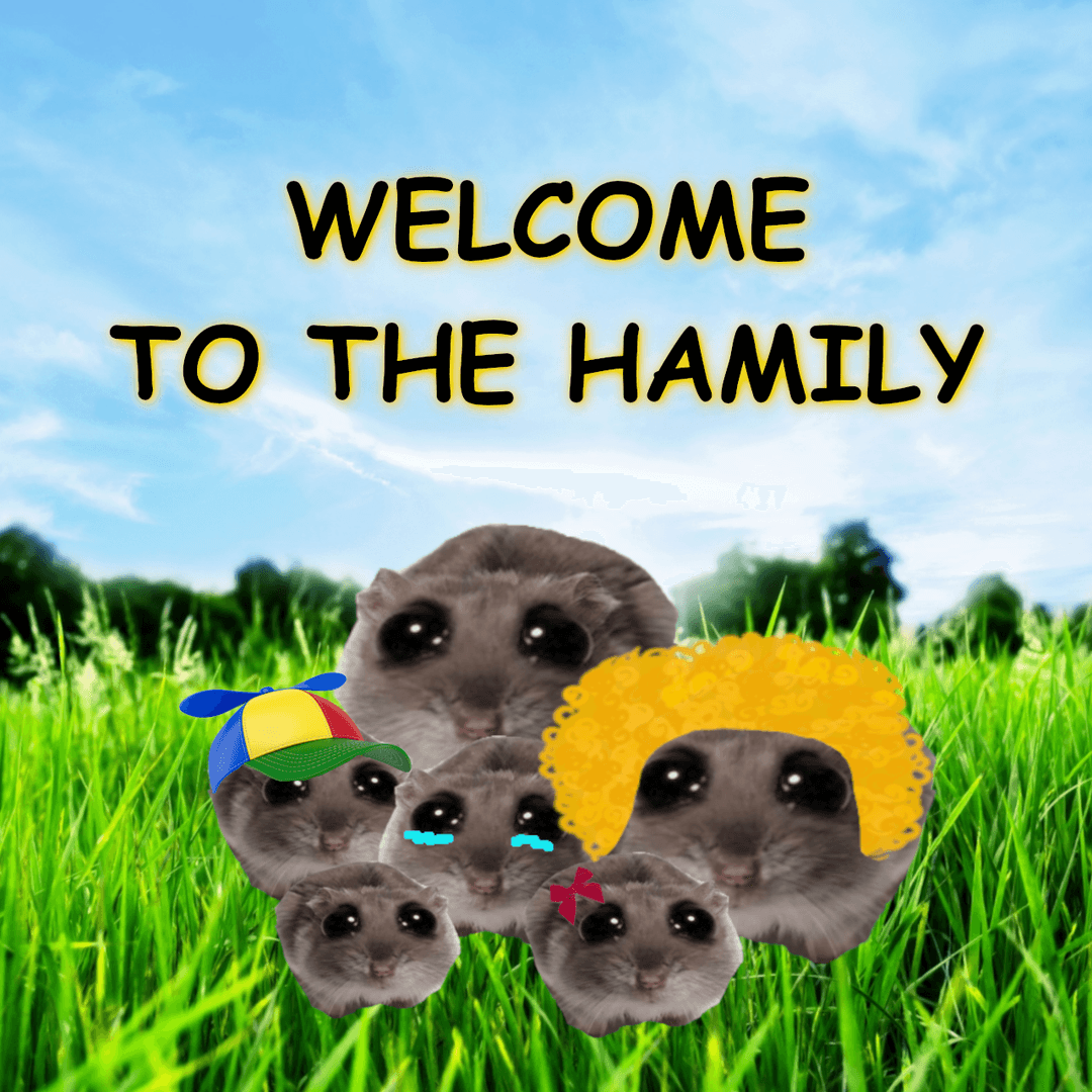 $HAMMY - Sad Hamster Meme